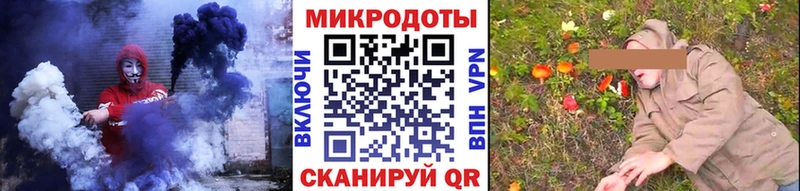 цена   Жиздра  Псилоцибиновые грибы Cubensis 